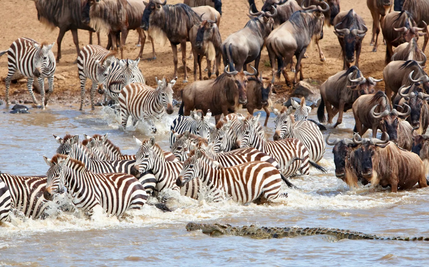 Tanzania safari landscape