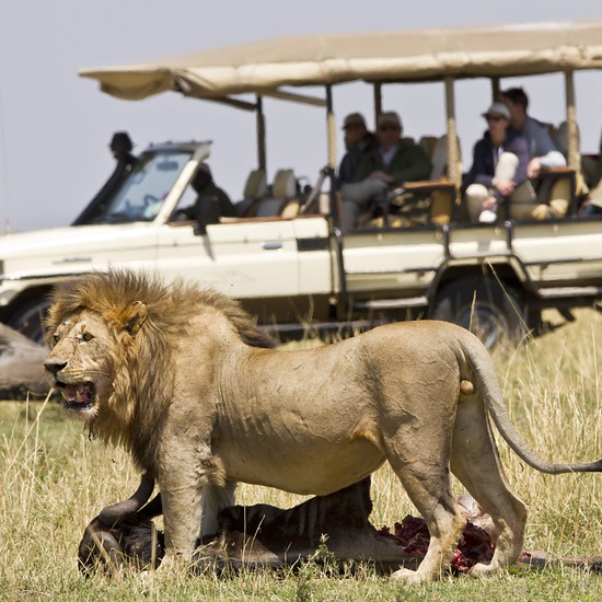 Serengeti National Park