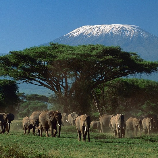 Arusha