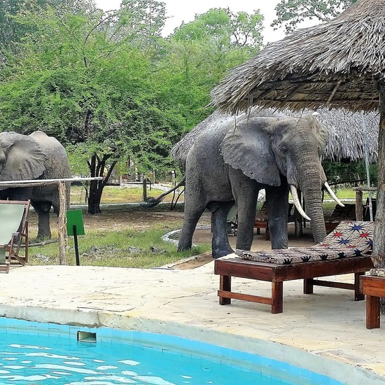Selous Game Reserve