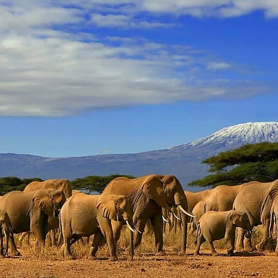 Tarangire National Park