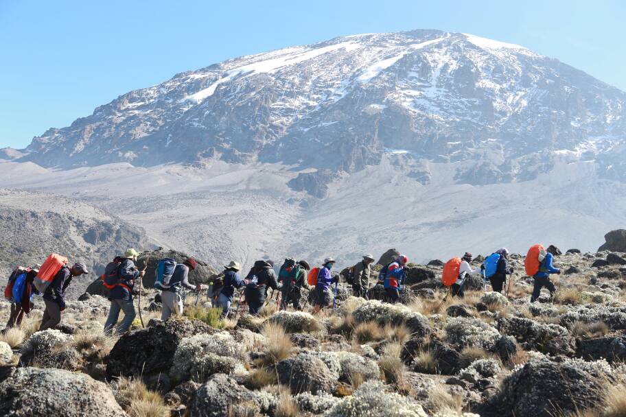 8-Day Lemosho Route