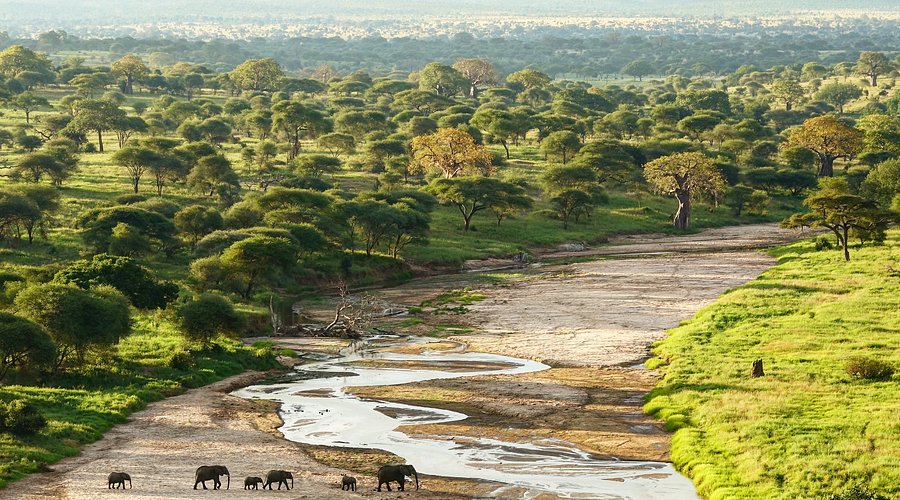 3-Day Safari Package