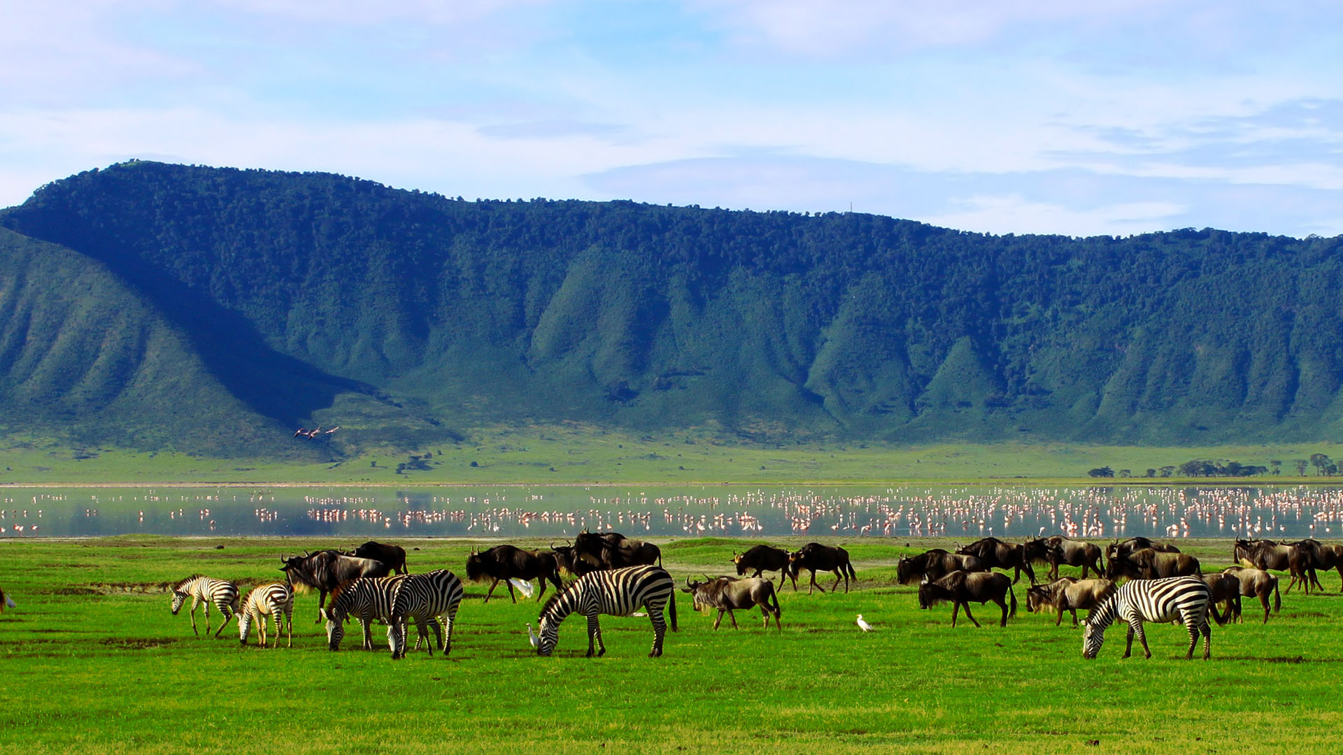 3-Day Safari Package