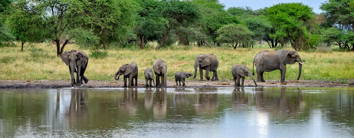 4-Day Safari Package