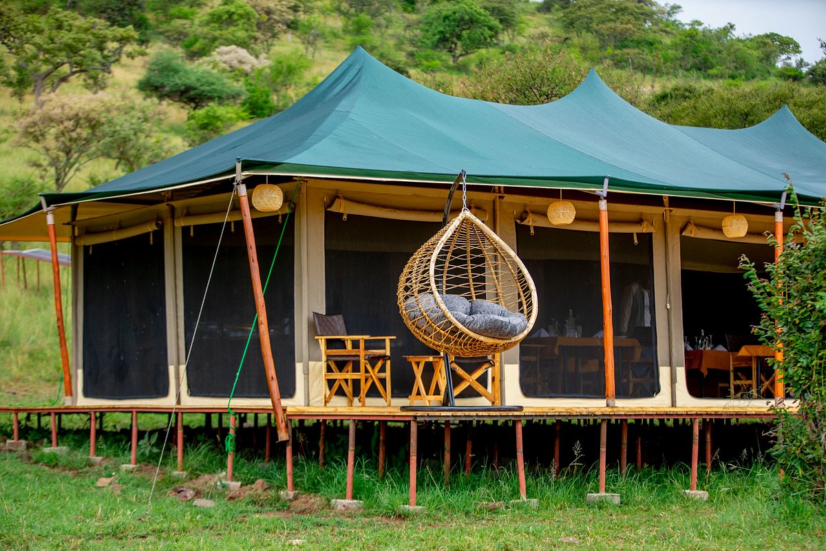 Friends Camp - Serengeti