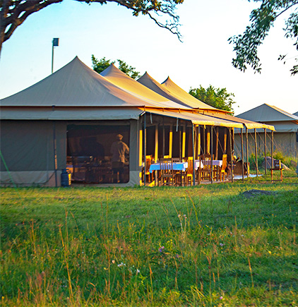Sero Migration Camp - Western Serengeti